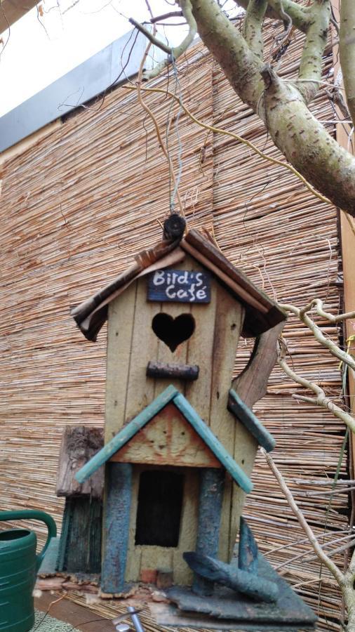 FeWo bei Tati - Bungalow Singen  Exterior foto